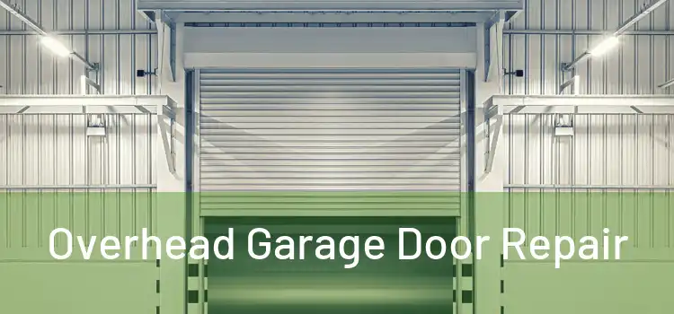  Overhead Garage Door Repair 